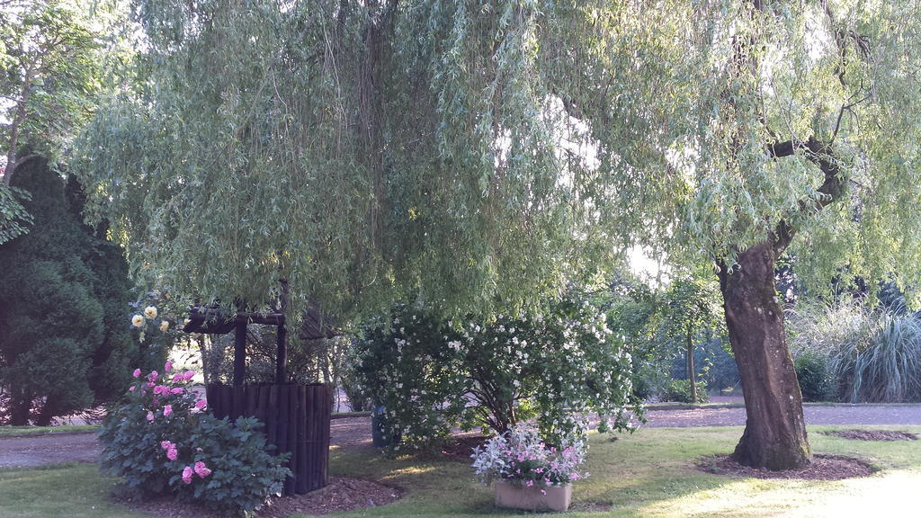 Riverfield Bed And Breakfast Gorey Exterior foto
