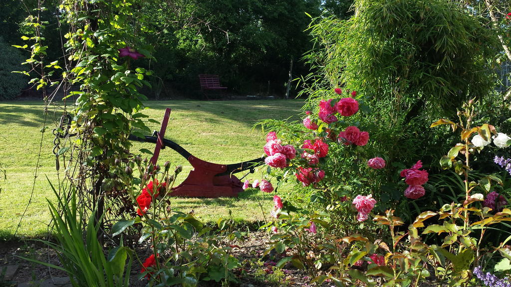 Riverfield Bed And Breakfast Gorey Exterior foto